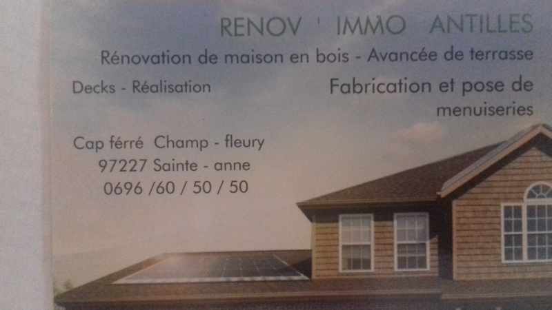 Logo de RENOV'IMMO, société de travaux en Fourniture et pose de faux plafonds