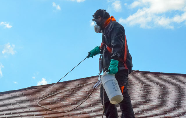 L’importance du nettoyage extérieur de la maison