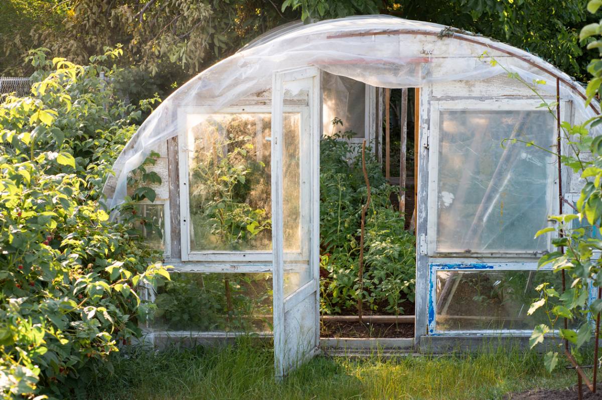 Serre de jardin : coût, installation et matériaux