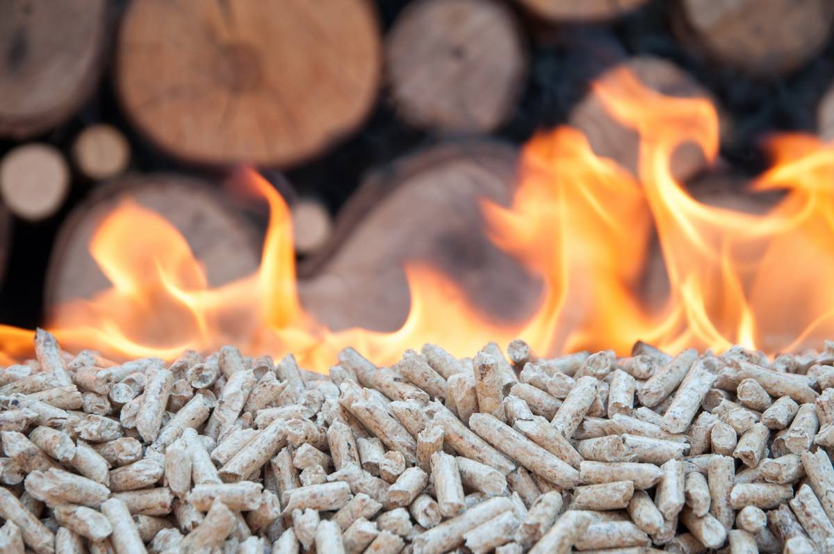 Pourquoi les pellets sont-ils le meilleur combustible ?