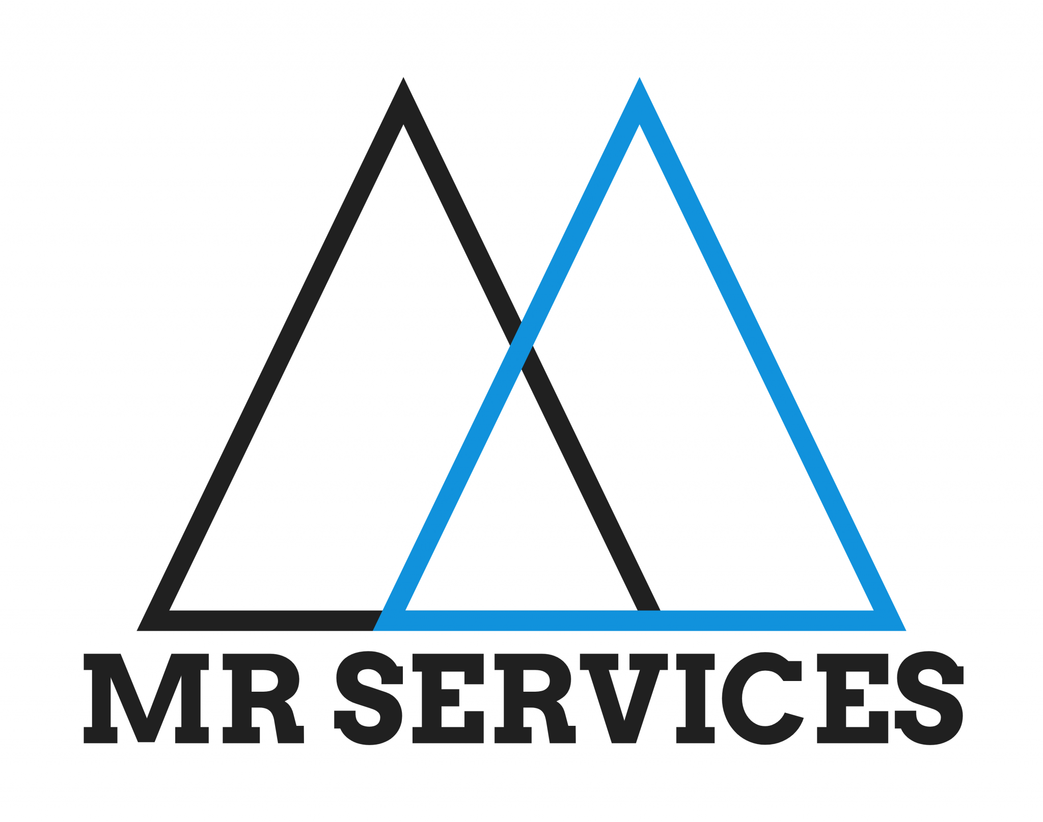 Logo de MR SERVICES, société de travaux en Nettoyage de copropriété