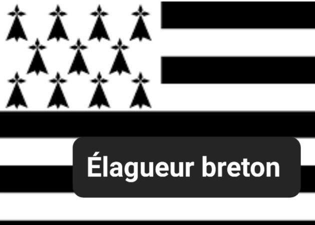 Logo de Elagueur breton, société de travaux en Création de jardins, pelouses et de parcs