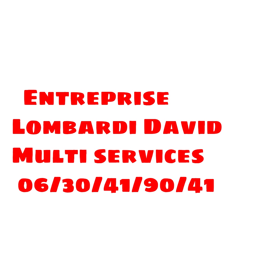 Logo de Lombardi David, société de travaux en Fourniture et pose de lambris