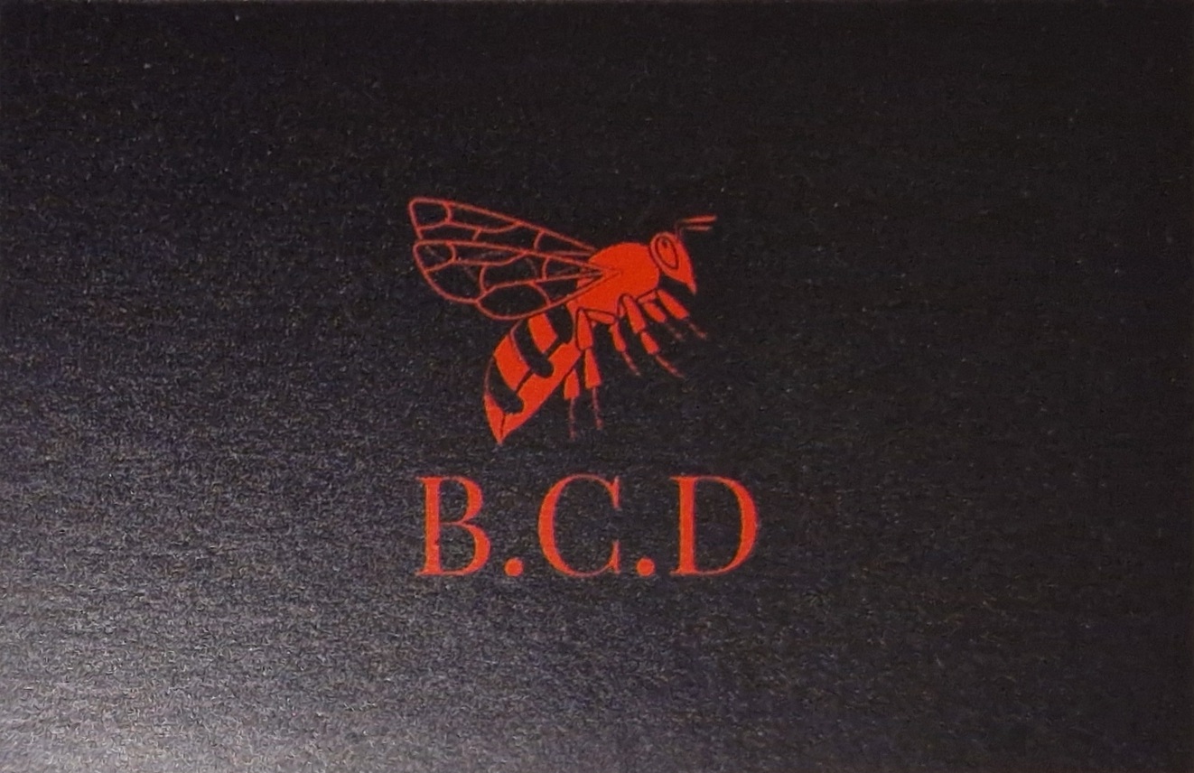 Logo de B.C.D, société de travaux en bâtiment