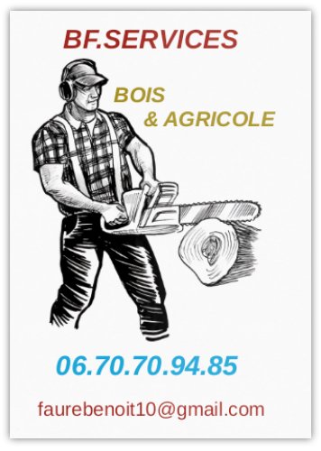 Logo de BF.SERVICES.BOIS AGRICOLE, société de travaux en Entretien de jardin (ponctuel ou à l'année)