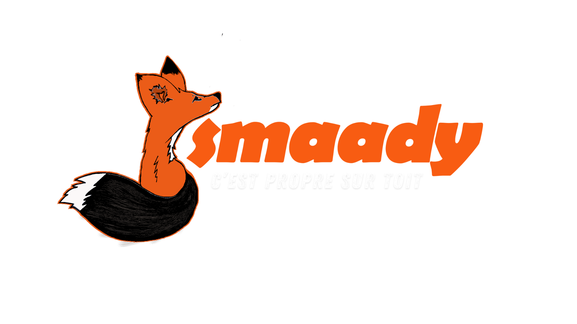 Logo de Smaady, société de travaux en Nettoyage toitures et façades