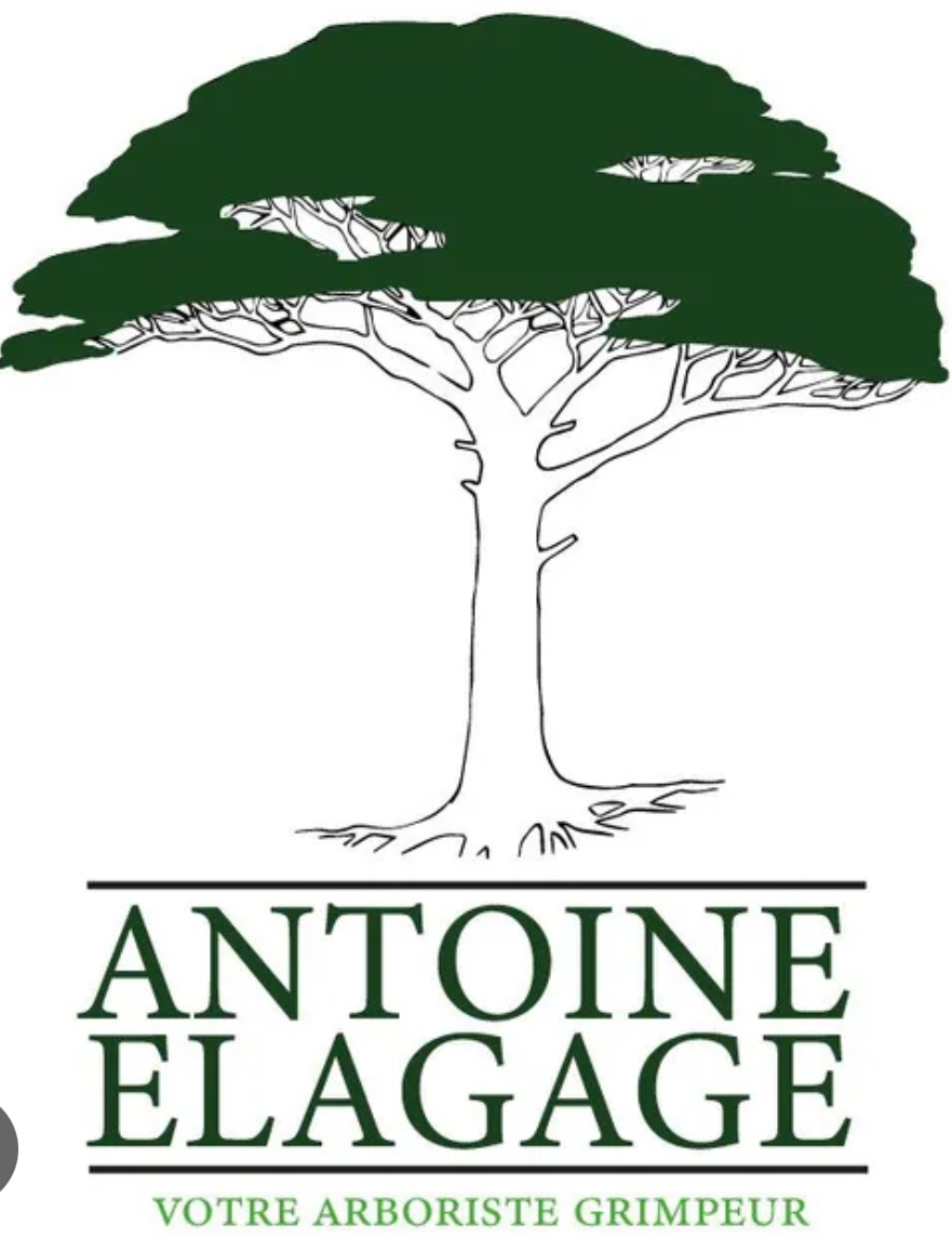 Logo de Reinhard Antoine, société de travaux en Création de jardins, pelouses et de parcs