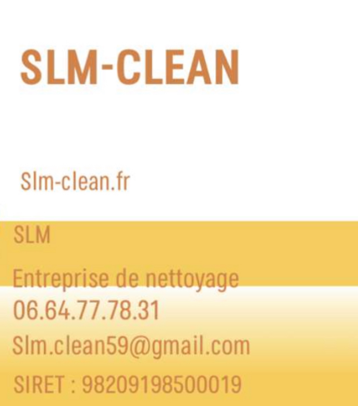 Slm-clean