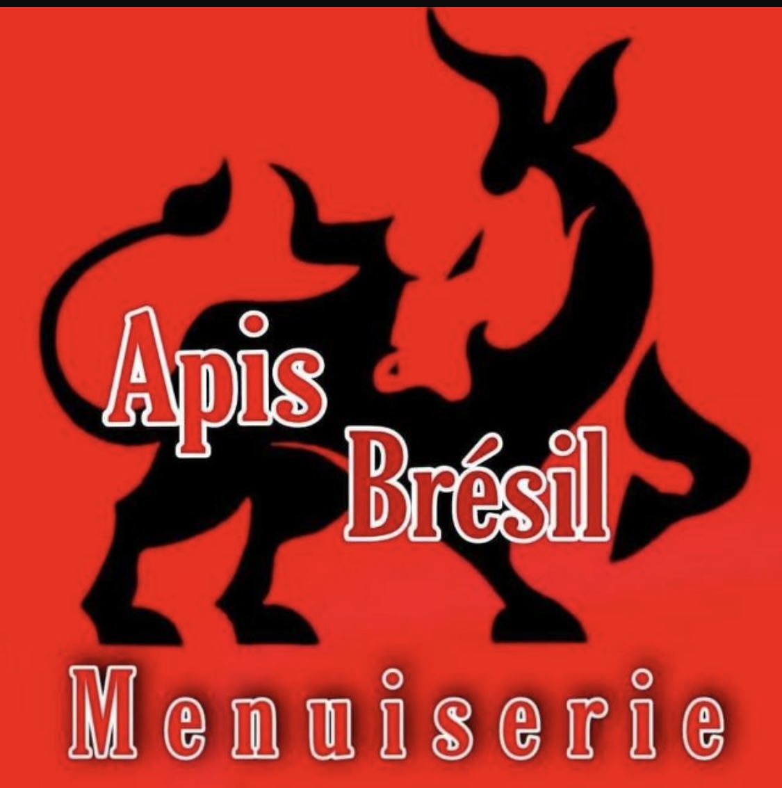 Logo de Apis Brésil, société de travaux en Fourniture et pose de faux plafonds