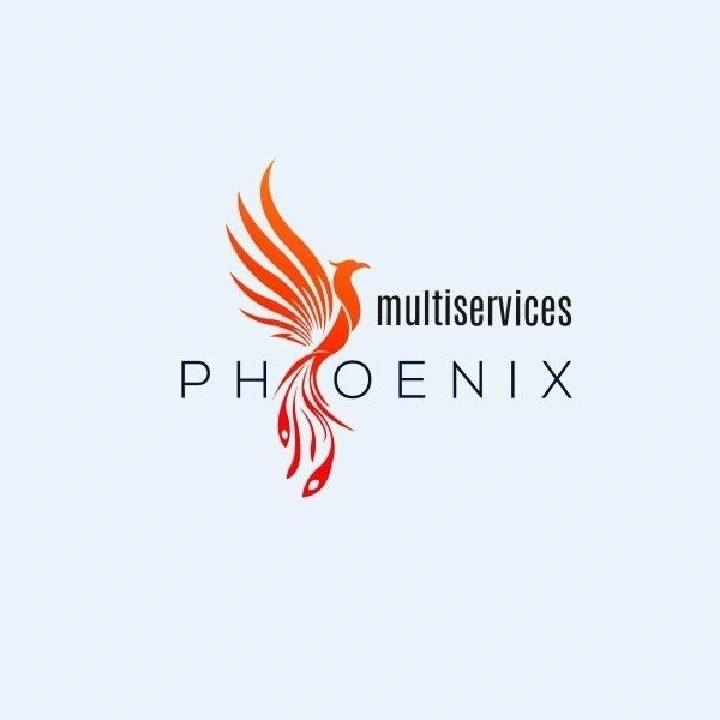 Logo de Multiservices Phoenix, société de travaux en Travaux de plomberie de cuisine