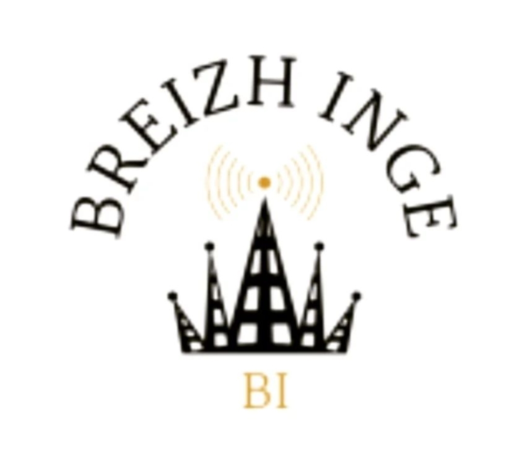 Logo de BREIZH INGE, société de travaux en Dépannage électrique