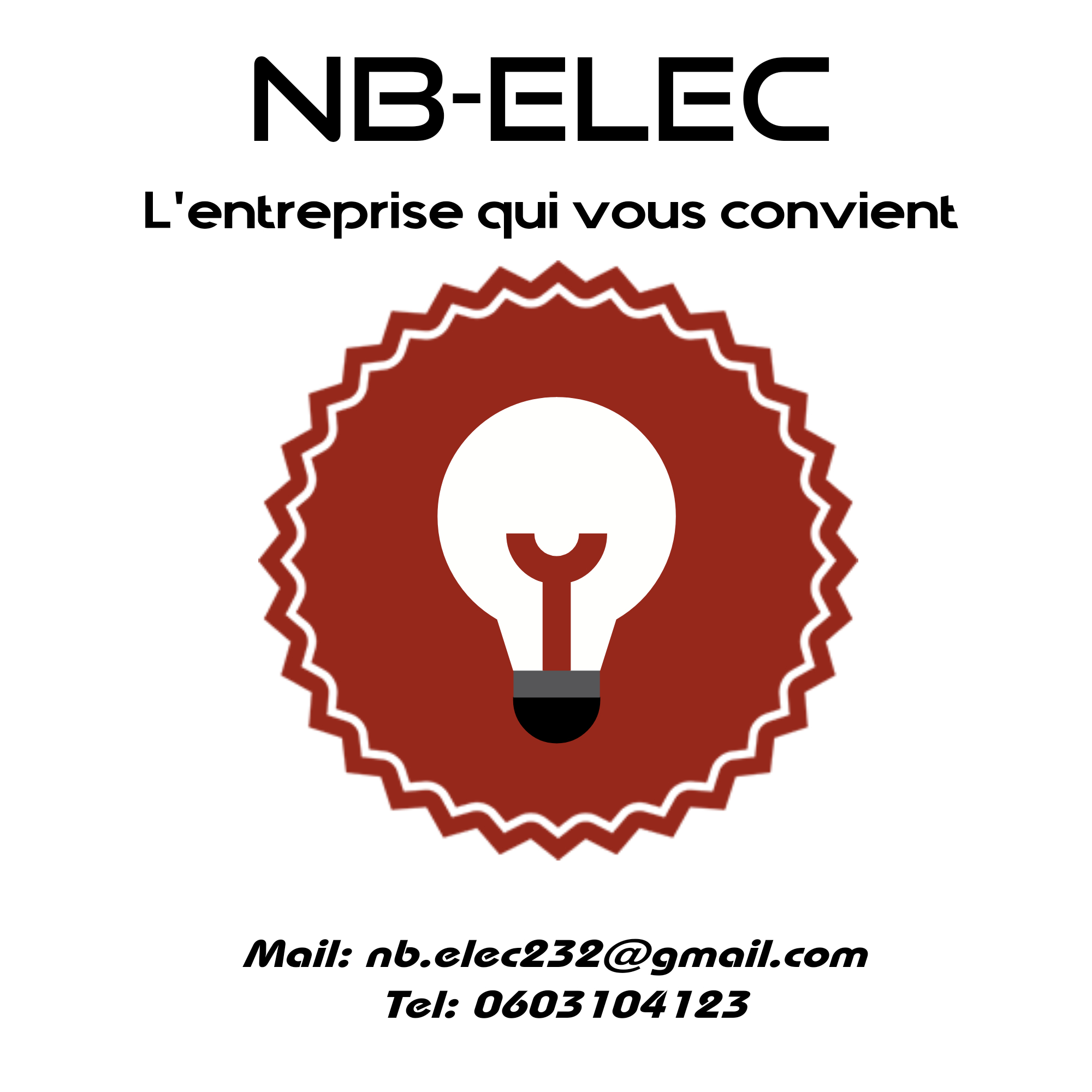 Logo de Ngoma Baruh, société de travaux en Installation électrique : rénovation complète ou partielle