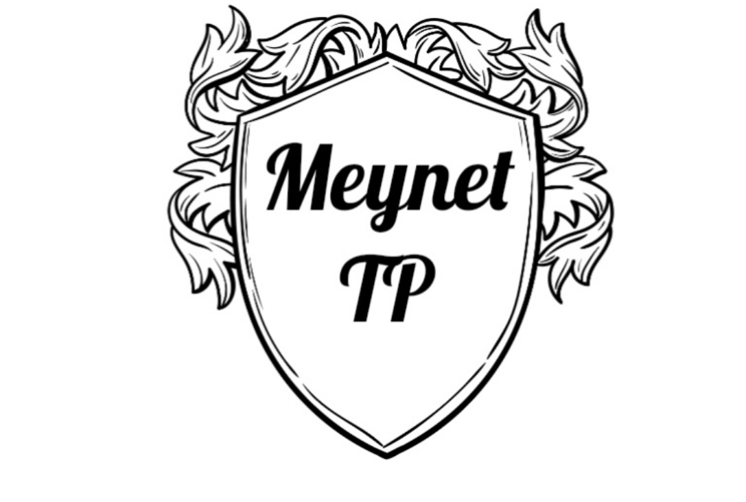 Logo de Meynet TP, société de travaux en Extension de maison